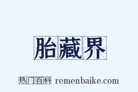 胎藏界是什么意思的图片